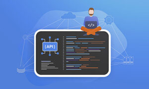 Data Services Integration