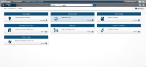1SearchPlus - search term